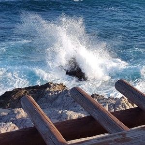 Meet your Posher, Steve